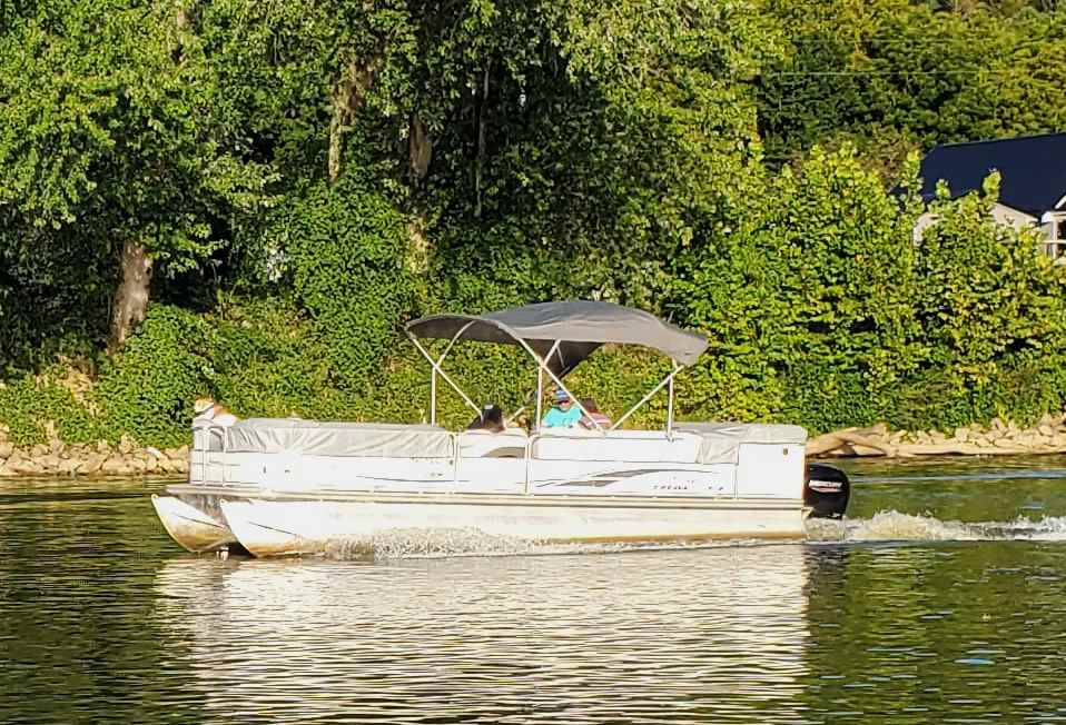 Flipper's Ferry